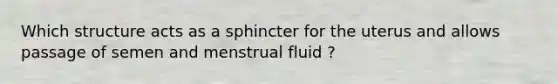 Which structure acts as a sphincter for the uterus and allows passage of semen and menstrual fluid ?