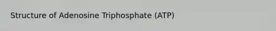 Structure of Adenosine Triphosphate (ATP)