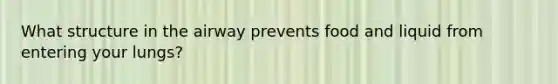 What structure in the airway prevents food and liquid from entering your lungs?