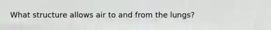 What structure allows air to and from the lungs?