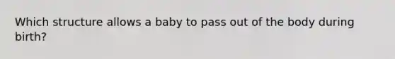 Which structure allows a baby to pass out of the body during birth?