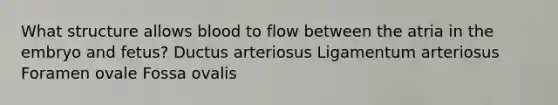 What structure allows blood to flow between the atria in the embryo and fetus? Ductus arteriosus Ligamentum arteriosus Foramen ovale Fossa ovalis