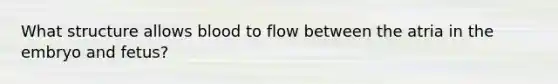 What structure allows blood to flow between the atria in the embryo and fetus?