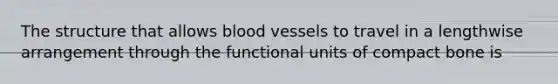 The structure that allows blood vessels to travel in a lengthwise arrangement through the functional units of compact bone is