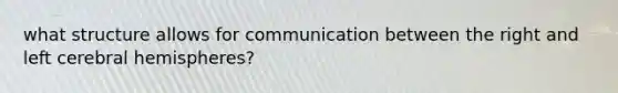 what structure allows for communication between the right and left cerebral hemispheres?