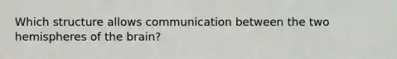 Which structure allows communication between the two hemispheres of the brain?