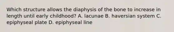 Which structure allows the diaphysis of the bone to increase in length until early childhood? A. lacunae B. haversian system C. epiphyseal plate D. epiphyseal line