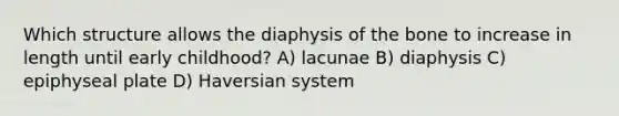 Which structure allows the diaphysis of the bone to increase in length until early childhood? A) lacunae B) diaphysis C) epiphyseal plate D) Haversian system