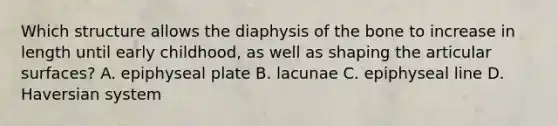 Which structure allows the diaphysis of the bone to increase in length until early childhood, as well as shaping the articular surfaces? A. epiphyseal plate B. lacunae C. epiphyseal line D. Haversian system