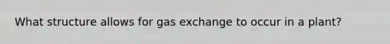 What structure allows for gas exchange to occur in a plant?