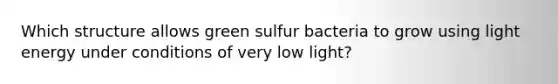 Which structure allows green sulfur bacteria to grow using light energy under conditions of very low light?