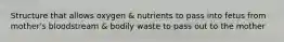 Structure that allows oxygen & nutrients to pass into fetus from mother's bloodstream & bodily waste to pass out to the mother