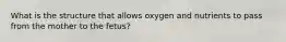 What is the structure that allows oxygen and nutrients to pass from the mother to the fetus?