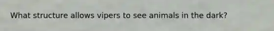 What structure allows vipers to see animals in the dark?