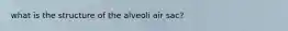 what is the structure of the alveoli air sac?