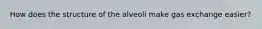 How does the structure of the alveoli make gas exchange easier?