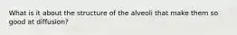 What is it about the structure of the alveoli that make them so good at diffusion?