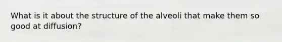 What is it about the structure of the alveoli that make them so good at diffusion?