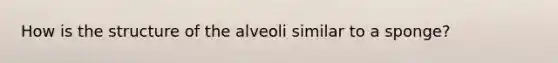 How is the structure of the alveoli similar to a sponge?