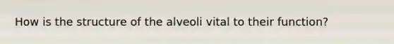 How is the structure of the alveoli vital to their function?