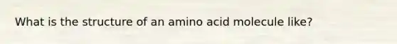 What is the structure of an amino acid molecule like?