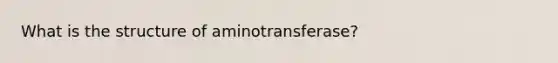 What is the structure of aminotransferase?