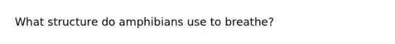 What structure do amphibians use to breathe?