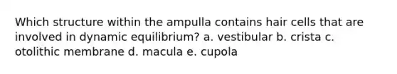 Which structure within the ampulla contains hair cells that are involved in dynamic equilibrium? a. vestibular b. crista c. otolithic membrane d. macula e. cupola