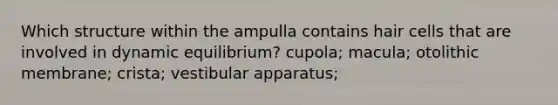 Which structure within the ampulla contains hair cells that are involved in dynamic equilibrium? cupola; macula; otolithic membrane; crista; vestibular apparatus;