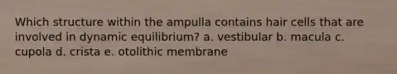 Which structure within the ampulla contains hair cells that are involved in dynamic equilibrium? a. vestibular b. macula c. cupola d. crista e. otolithic membrane