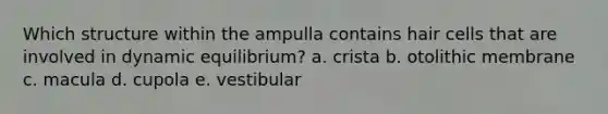 Which structure within the ampulla contains hair cells that are involved in dynamic equilibrium? a. crista b. otolithic membrane c. macula d. cupola e. vestibular