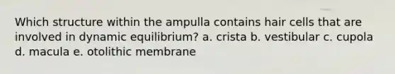 Which structure within the ampulla contains hair cells that are involved in dynamic equilibrium? a. crista b. vestibular c. cupola d. macula e. otolithic membrane