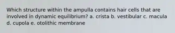 Which structure within the ampulla contains hair cells that are involved in dynamic equilibrium? a. crista b. vestibular c. macula d. cupola e. otolithic membrane