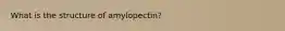 What is the structure of amylopectin?