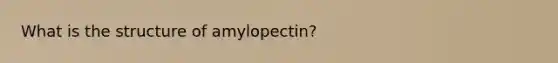 What is the structure of amylopectin?