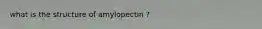 what is the structure of amylopectin ?