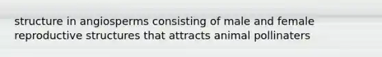 structure in angiosperms consisting of male and female reproductive structures that attracts animal pollinaters