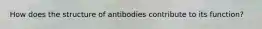 How does the structure of antibodies contribute to its function?