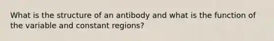 What is the structure of an antibody and what is the function of the variable and constant regions?