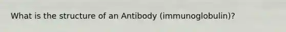 What is the structure of an Antibody (immunoglobulin)?