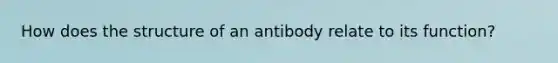 How does the structure of an antibody relate to its function?