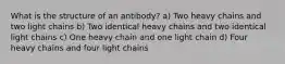 What is the structure of an antibody? a) Two heavy chains and two light chains b) Two identical heavy chains and two identical light chains c) One heavy chain and one light chain d) Four heavy chains and four light chains