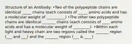 Structure of an Antibody: •Two of the polypeptide chains are identical _____ chains (each consists of _____ amino acids and has a molecular weight of __________) •The other two polypeptide chains are identical _______ chains (each consists of ____ amino acids and has a molecular weight of _________). •Within each light and heavy chain are two regions called the _______ region (___ and ___) and the _______ region (___ & ____)