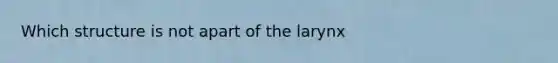 Which structure is not apart of the larynx