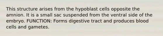 This structure arises from the hypoblast cells opposite the amnion. It is a small sac suspended from the ventral side of the embryo. FUNCTION: Forms digestive tract and produces blood cells and gametes.