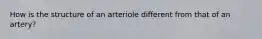 How is the structure of an arteriole different from that of an artery?