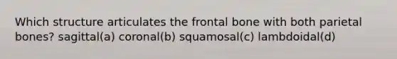 Which structure articulates the frontal bone with both parietal bones? sagittal(a) coronal(b) squamosal(c) lambdoidal(d)