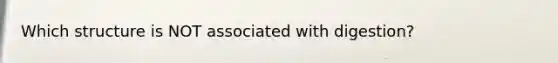 Which structure is NOT associated with digestion?