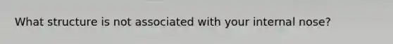 What structure is not associated with your internal nose?