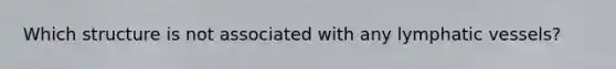 Which structure is not associated with any lymphatic vessels?